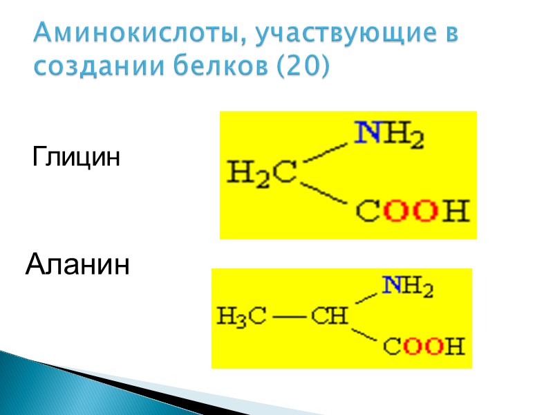 Аминокислоты, участвующие в создании белков (20) Глицин Аланин